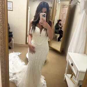 Elegant White Lace Wedding Dress and Matching Cathedral Veil